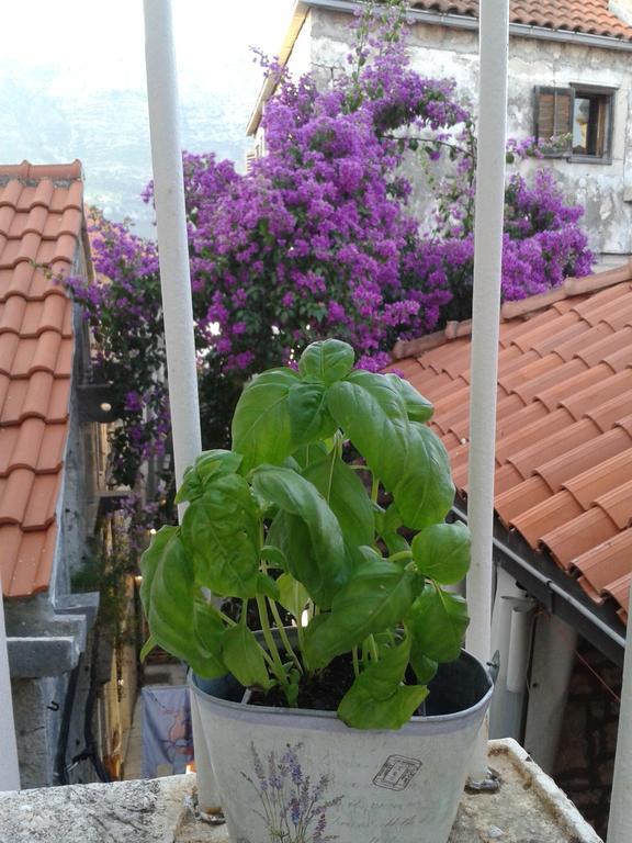 Apartments Milion Korčula Habitación foto
